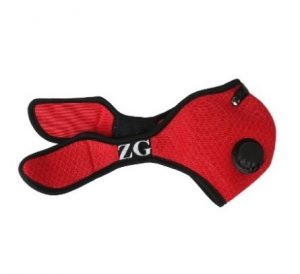 Pollution Mask