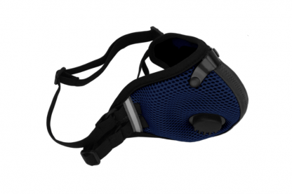Air Mesh Dual Strap Mask (Blue)