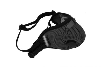 Air Mesh Dual Strap Mask (Black)